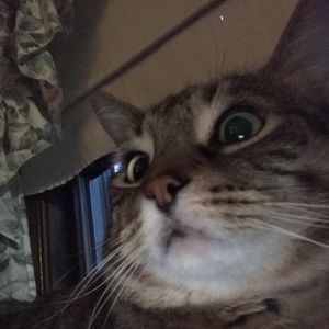 Meet your Posher, Shane